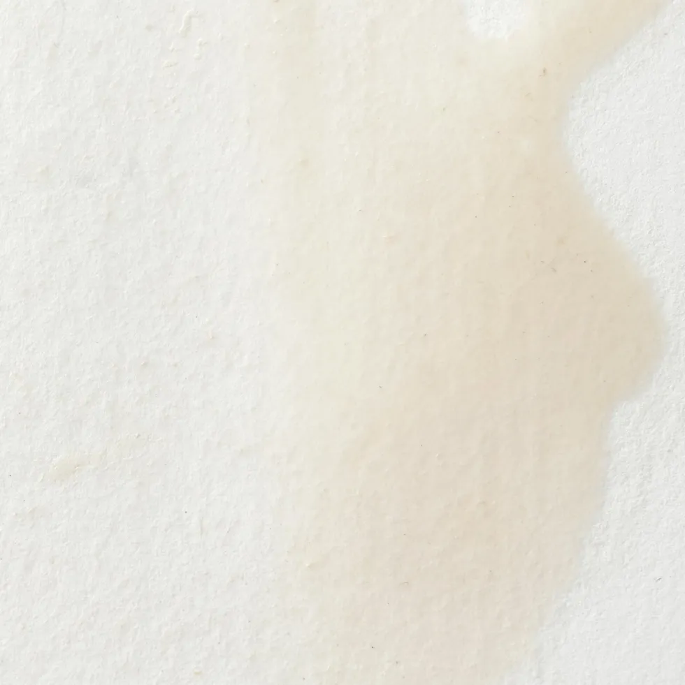 Farba akwarelowa Professional w półkostce - Winsor & Newton - China White