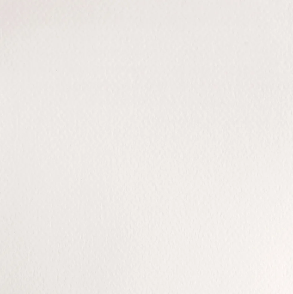 Farba akwarelowa Professional w półkostce - Winsor & Newton - China White