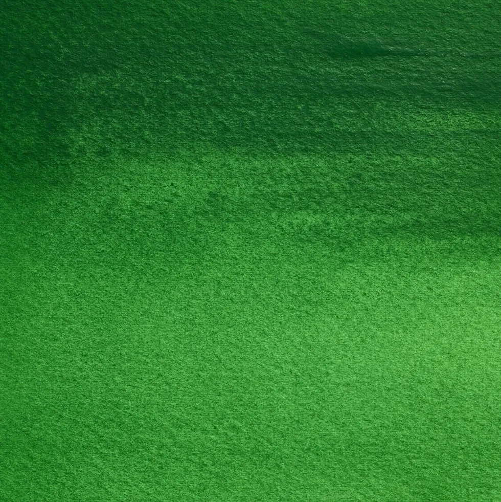 Farba akwarelowa Professional w półkostce - Winsor & Newton - Cinnabar Green