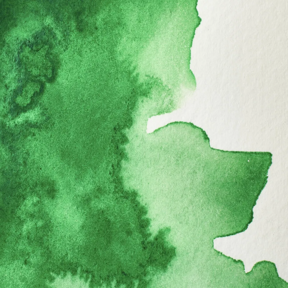 Farba akwarelowa Professional w półkostce - Winsor & Newton - Cinnabar Green