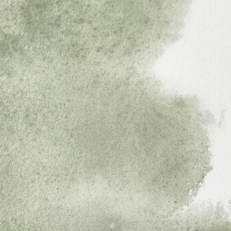 Farba akwarelowa Professional w półkostce - Winsor & Newton - Davy’s Grey