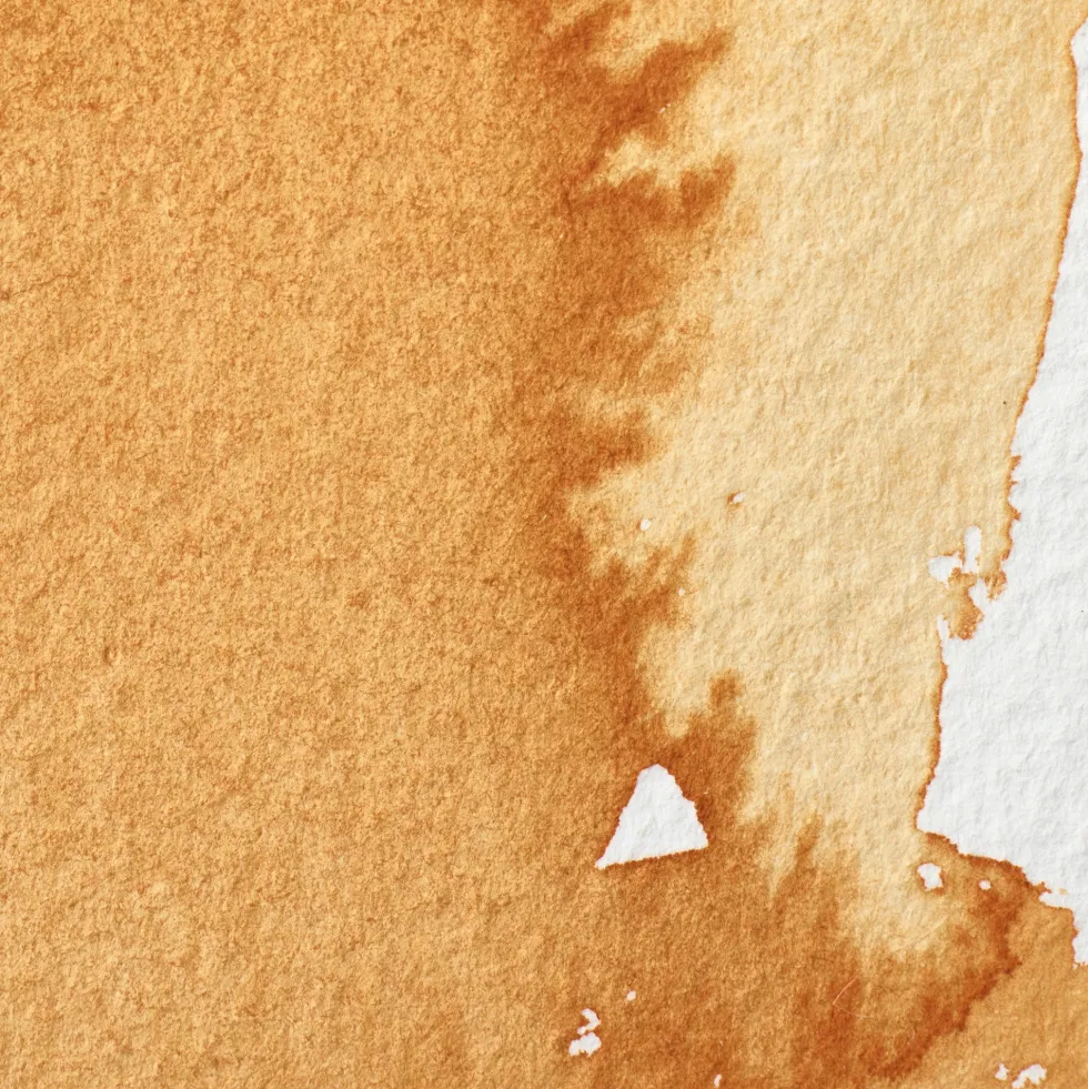 Farba akwarelowa Professional w półkostce - Winsor & Newton - Gold Ochre