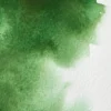 Farba akwarelowa Professional w półkostce - Winsor & Newton - Hooker’s Green