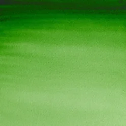 Farba akwarelowa Professional w półkostce - Winsor & Newton - Hooker’s Green