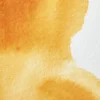 Farba akwarelowa Professional w półkostce - Winsor & Newton - Indian Yellow