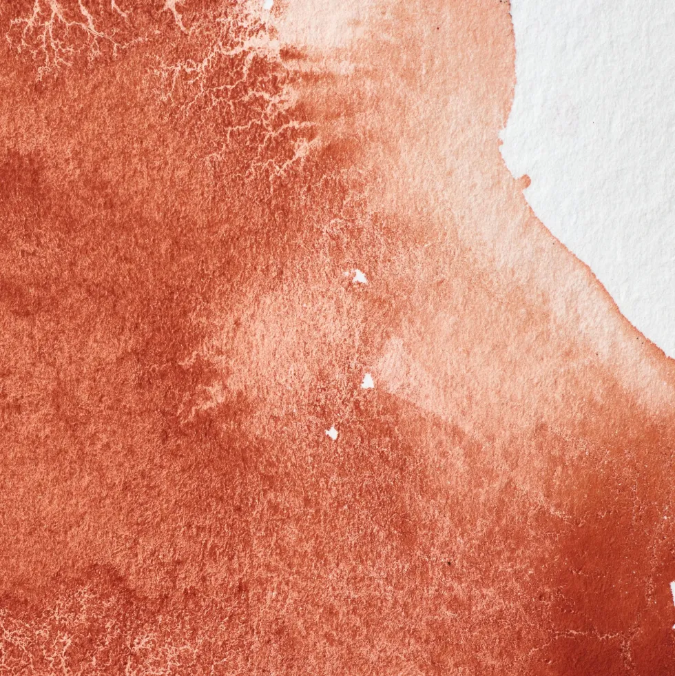 Farba akwarelowa Professional w półkostce - Winsor & Newton - Light Red