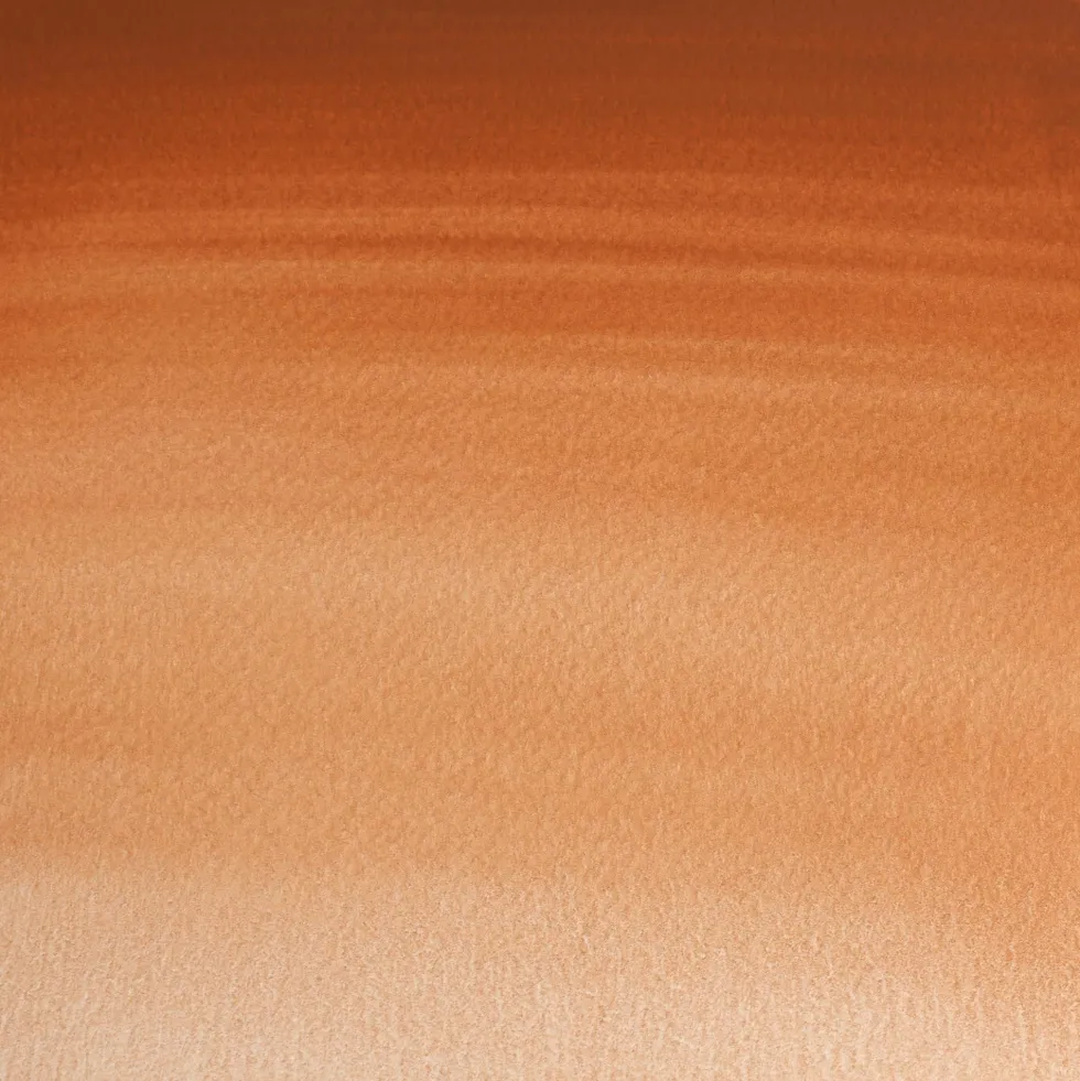 Farba akwarelowa Professional w półkostce - Winsor & Newton - Magnesium Brown