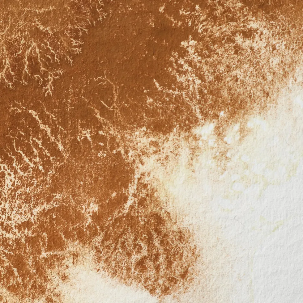Farba akwarelowa Professional w półkostce - Winsor & Newton - Magnesium Brown