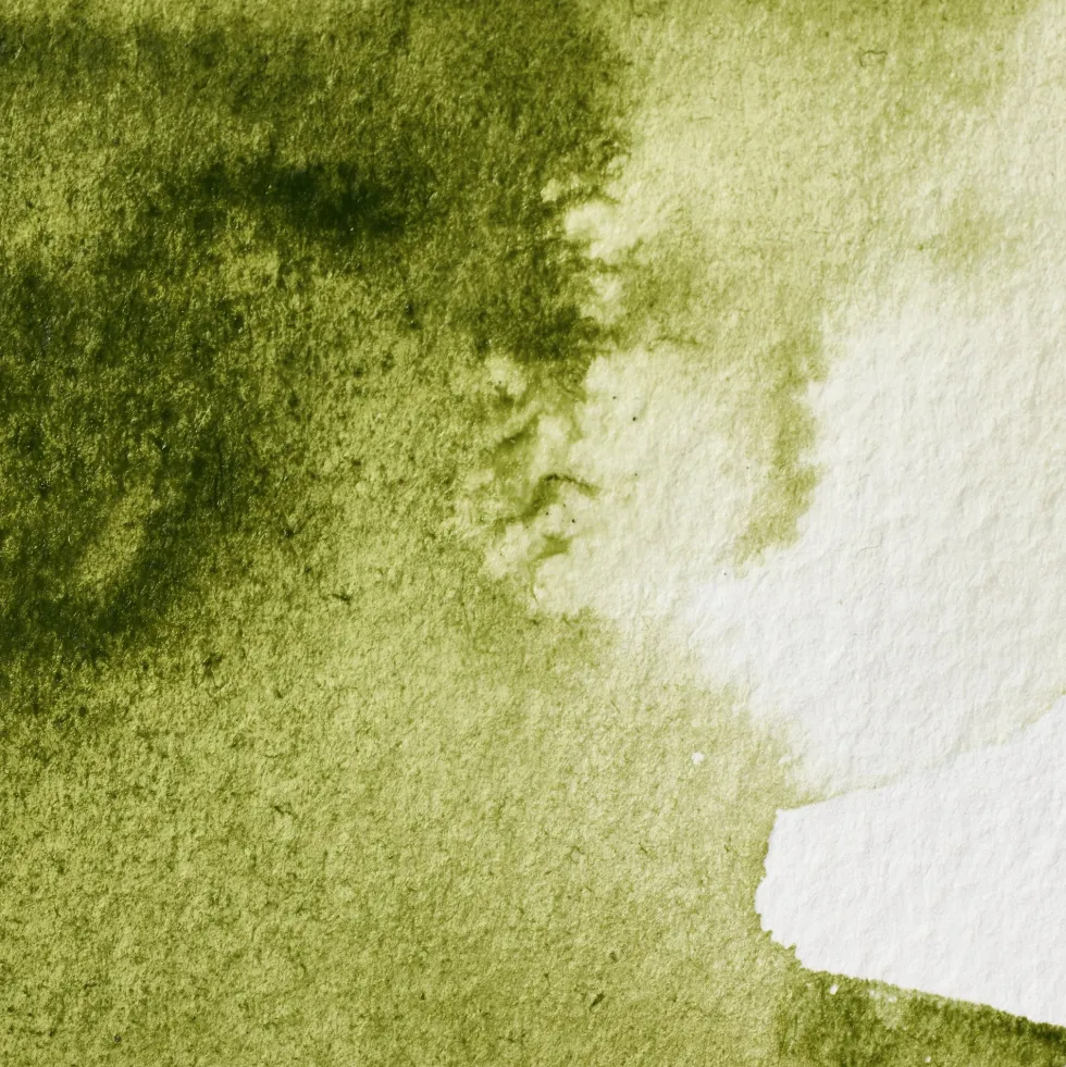 Farba akwarelowa Professional w półkostce - Winsor & Newton - Olive Green