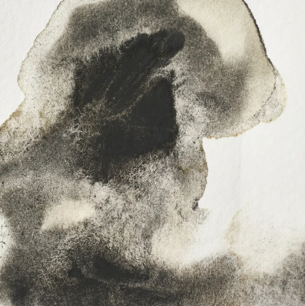 Farba akwarelowa Professional w półkostce - Winsor & Newton - Ostwald Grey