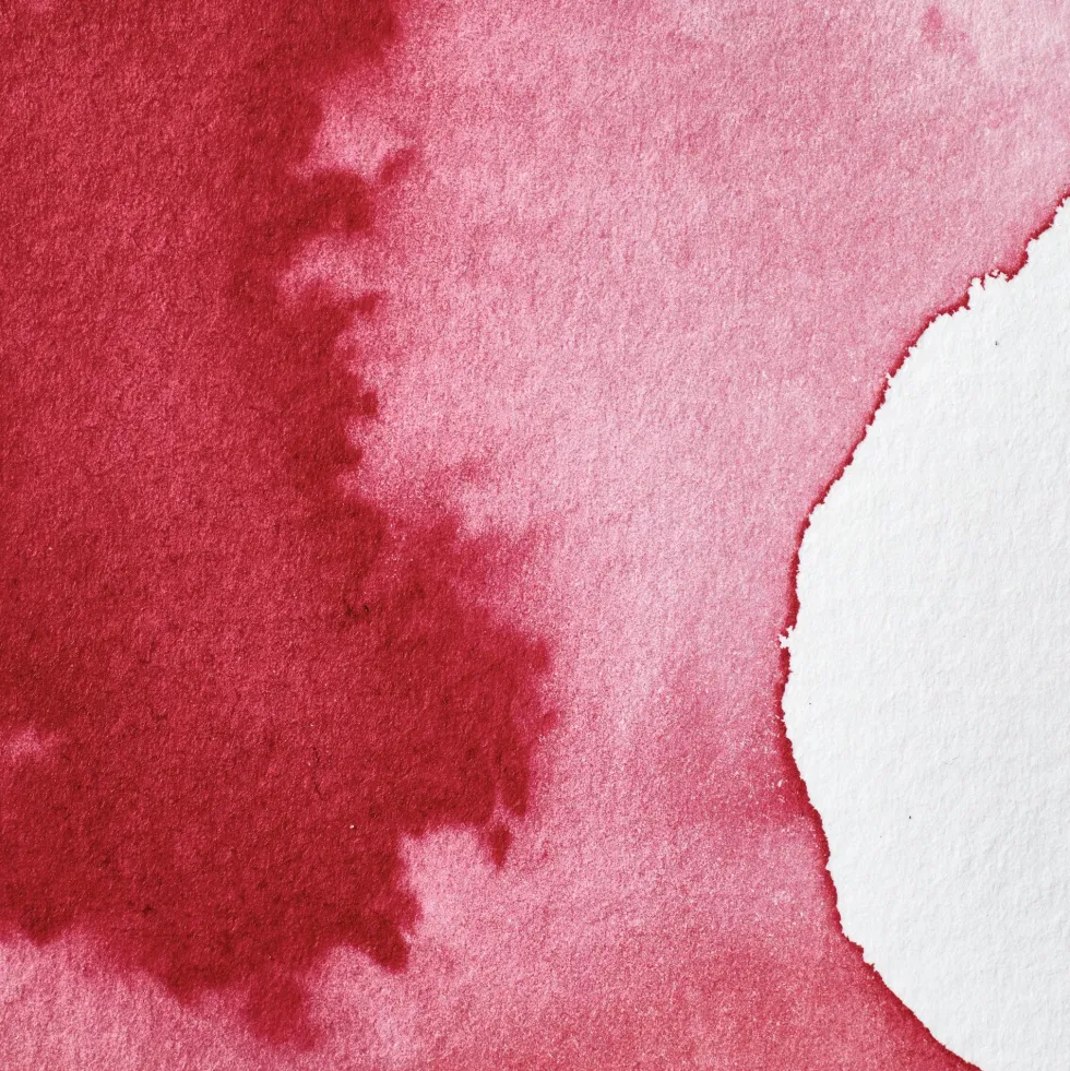 Farba akwarelowa Professional w półkostce - Winsor & Newton - Permanent Carmine