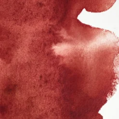 Farba akwarelowa Professional w półkostce - Winsor & Newton - Perylene Maroon