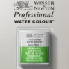 Farba akwarelowa Professional w półkostce - Winsor & Newton - Permanent Sap Green