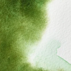 Farba akwarelowa Professional w półkostce - Winsor & Newton - Permanent Sap Green