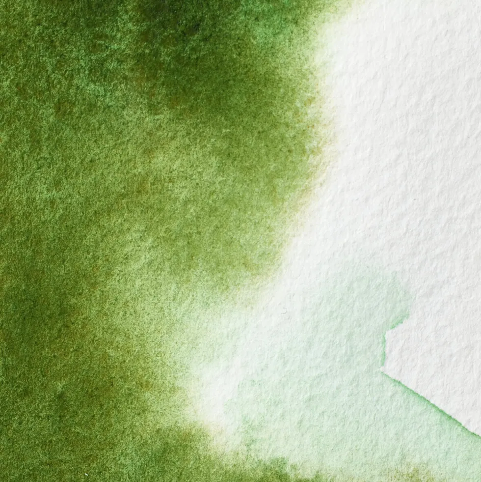 Farba akwarelowa Professional w półkostce - Winsor & Newton - Permanent Sap Green