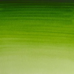 Farba akwarelowa Professional w półkostce - Winsor & Newton - Permanent Sap Green