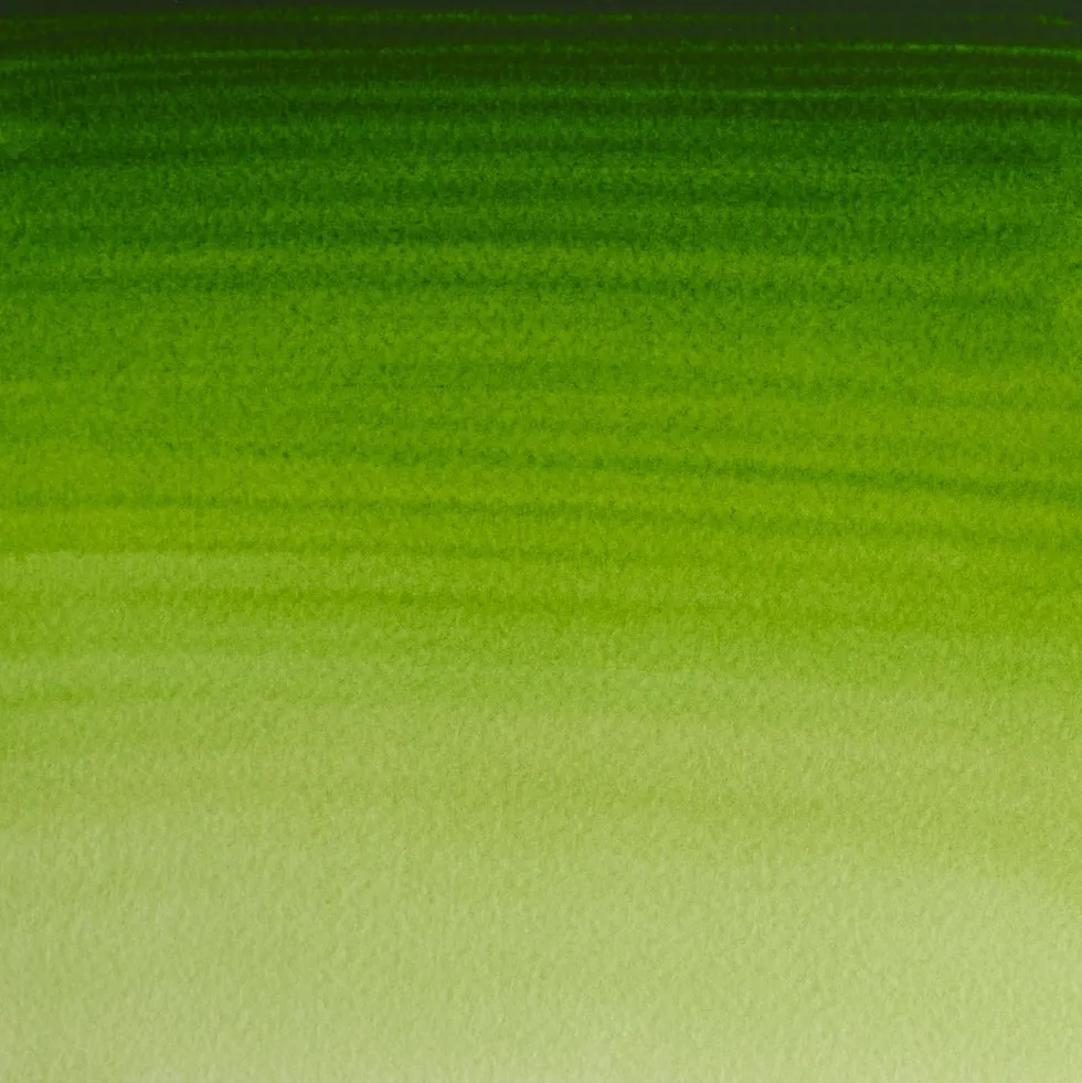 Farba akwarelowa Professional w półkostce - Winsor & Newton - Permanent Sap Green