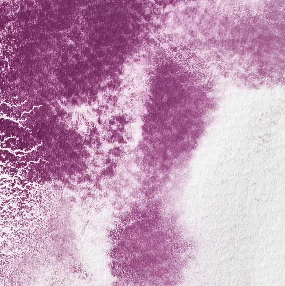 Farba akwarelowa Professional w półkostce - Winsor & Newton - Permanent Mauve