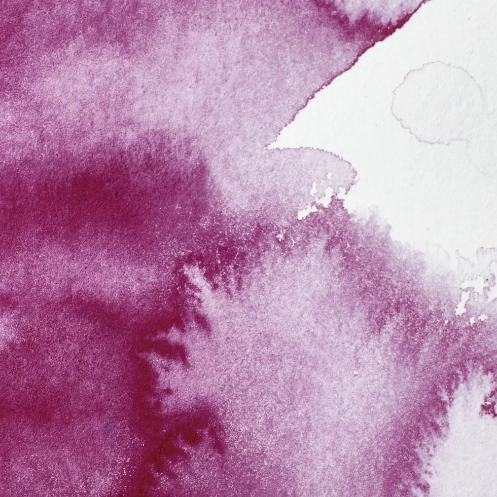 Farba akwarelowa Professional w półkostce - Winsor & Newton - Permanent Magenta