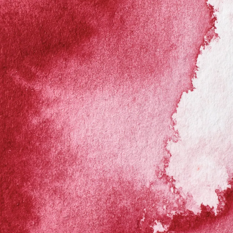 Farba akwarelowa Professional w półkostce - Winsor & Newton - Permanent Alizarin Crimson