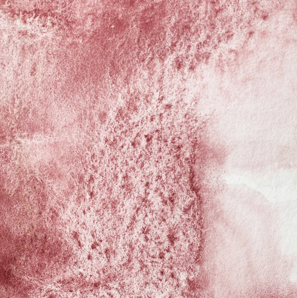 Farba akwarelowa Professional w półkostce - Winsor & Newton - Potter's Pink