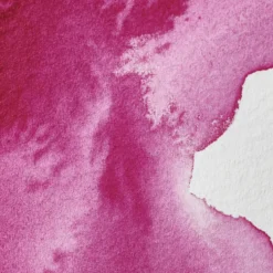 Farba akwarelowa Professional w półkostce - Winsor & Newton - Quinacridone Magenta