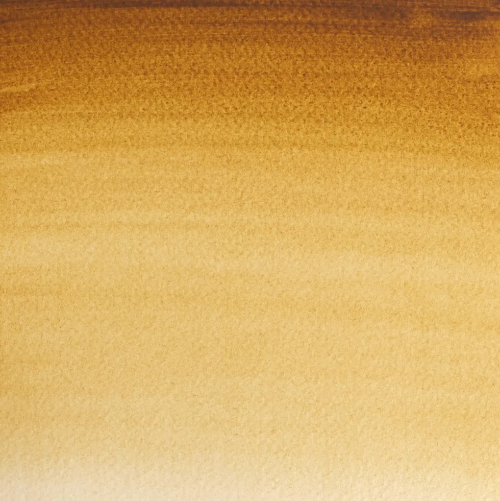 Farba akwarelowa Professional w półkostce - Winsor & Newton - Raw Umber