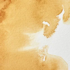 Farba akwarelowa Professional w półkostce - Winsor & Newton - Raw Sienna