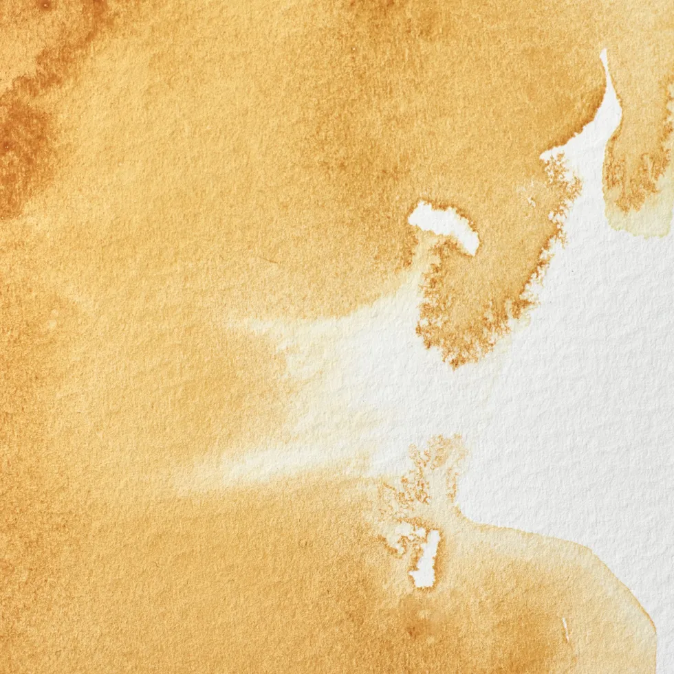 Farba akwarelowa Professional w półkostce - Winsor & Newton - Raw Sienna