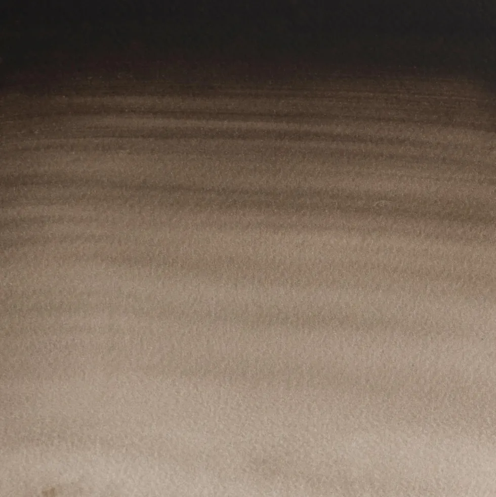 Farba akwarelowa Professional w półkostce - Winsor & Newton - Sepia