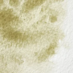 Farba akwarelowa Professional w półkostce - Winsor & Newton - Terre Verte