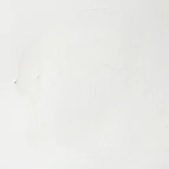 Farba akwarelowa Professional w półkostce - Winsor & Newton - Titanium White