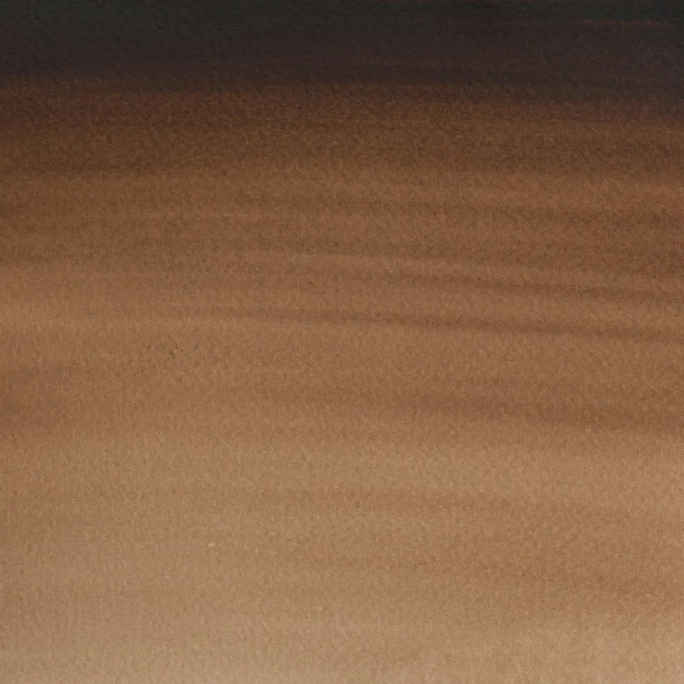 Farba akwarelowa Professional w półkostce - Winsor & Newton - Vandyke Brown