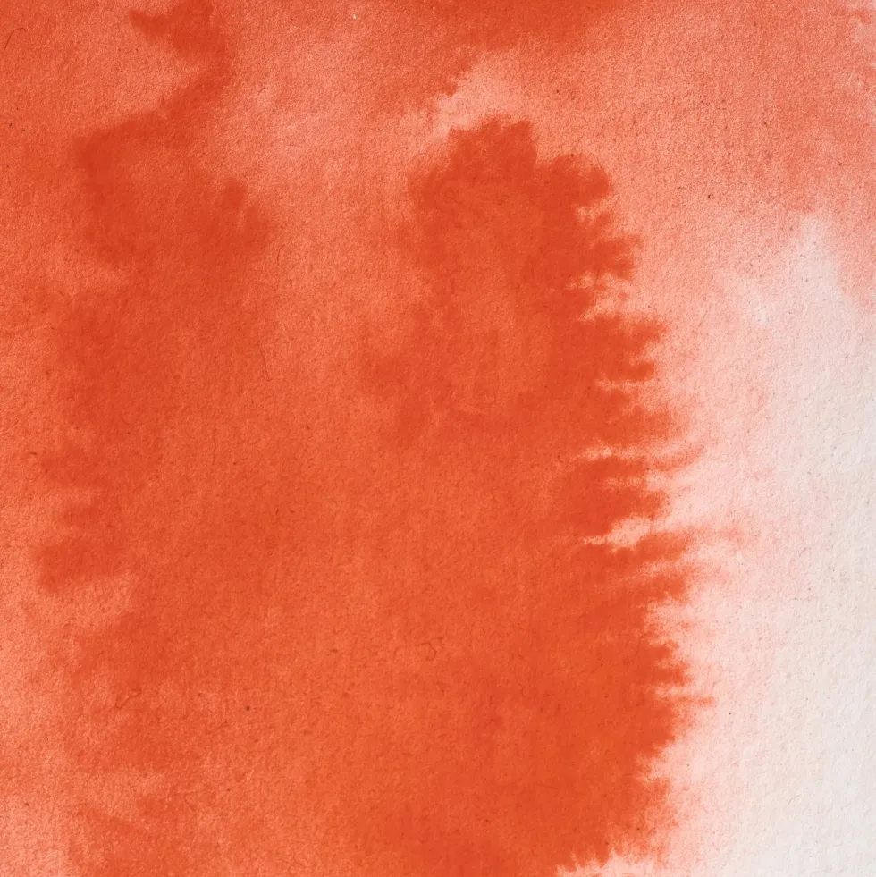 Farba akwarelowa Professional w półkostce - Winsor & Newton - Winsor Red Deep