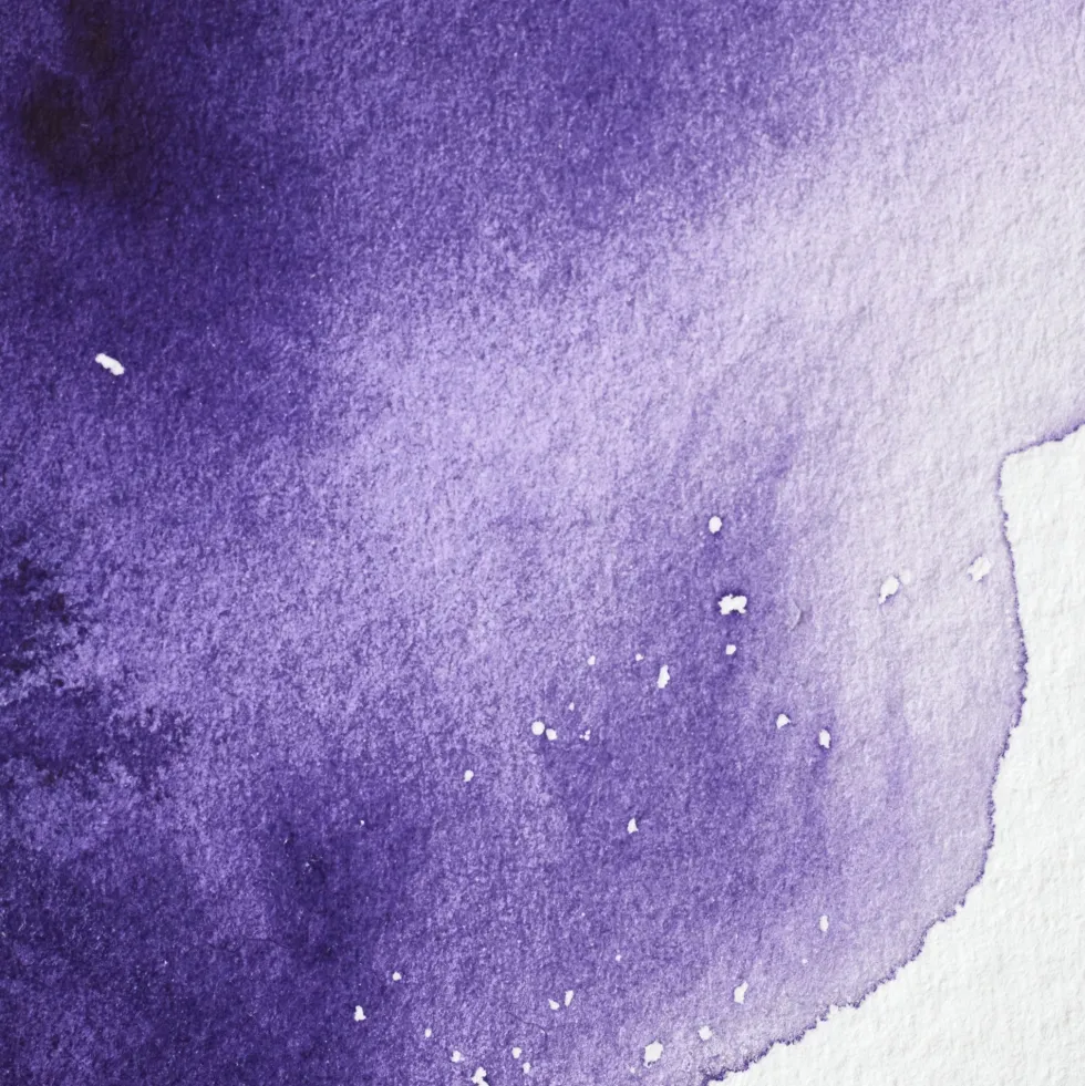 Farba akwarelowa Professional w półkostce - Winsor & Newton - Winsor Violet