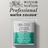 Farba akwarelowa Professional w półkostce - Winsor & Newton - Winsor Green (Blue Shade)