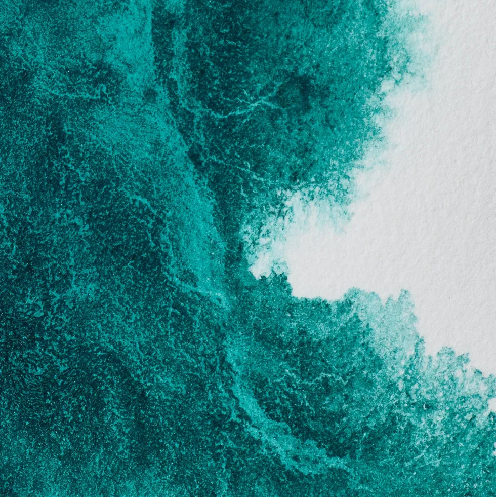 Farba akwarelowa Professional w półkostce - Winsor & Newton - Winsor Green (Blue Shade)