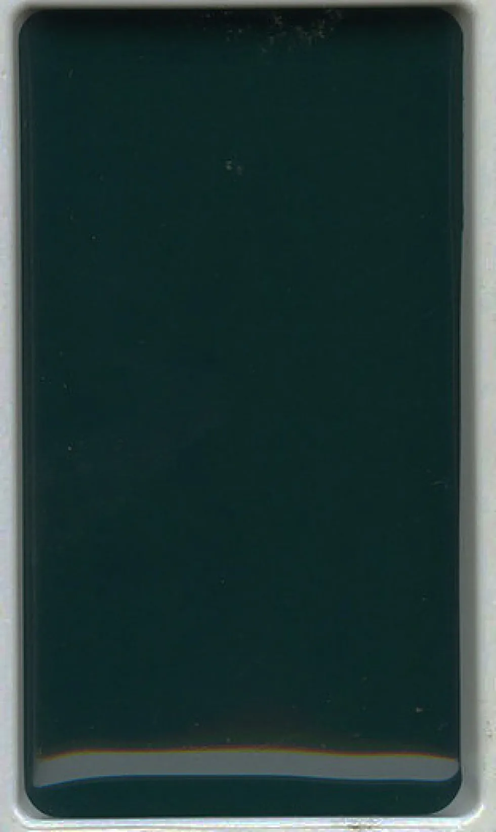 Farba akwarelowa w kostce Gansai Tambi - Kuretake - Forest Green