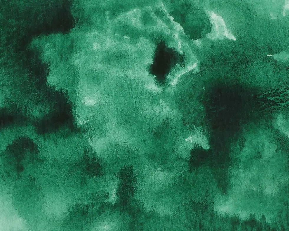 Farba akwarelowa w kostce Gansai Tambi - Kuretake - Forest Green