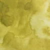 Farba akwarelowa w kostce Gansai Tambi - Kuretake - Green Gold