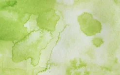 Farba akwarelowa w kostce Gansai Tambi - Kuretake - Pea Green