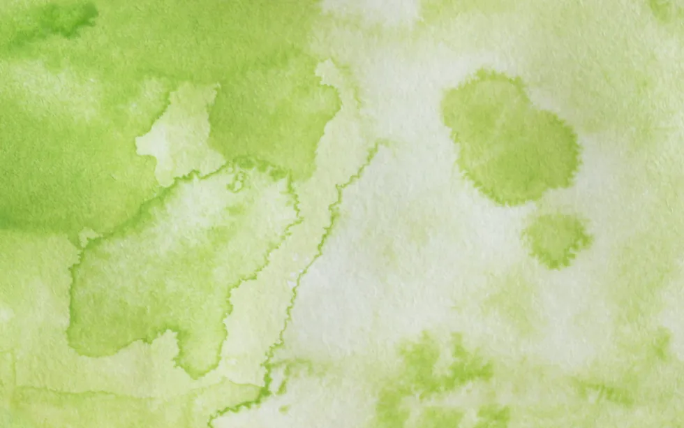 Farba akwarelowa w kostce Gansai Tambi - Kuretake - Pea Green