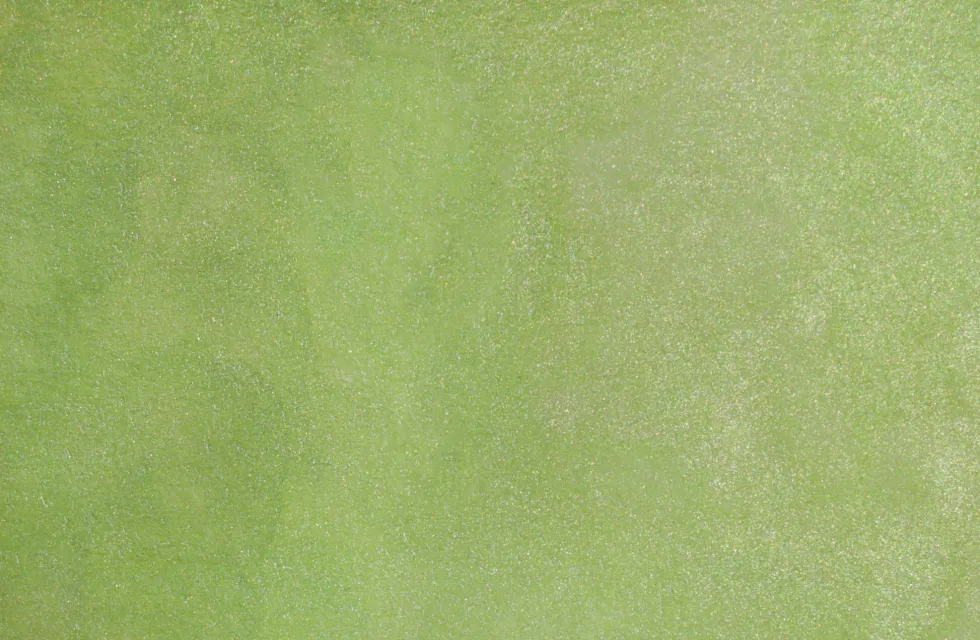 Farba akwarelowa w kostce Gansai Tambi - Kuretake - Pearl May Green