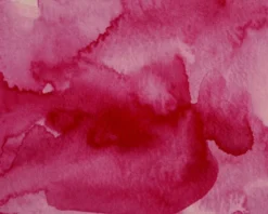 Farba akwarelowa w kostce Gansai Tambi - Kuretake - Rose Madder Deep