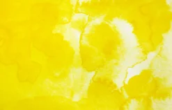 Farba akwarelowa w kostce Gansai Tambi - Kuretake - Saffron Yellow