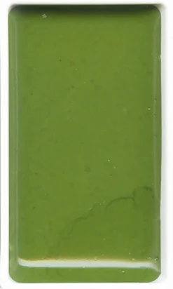 Farba akwarelowa w kostce Gansai Tambi - Kuretake - Sap Green