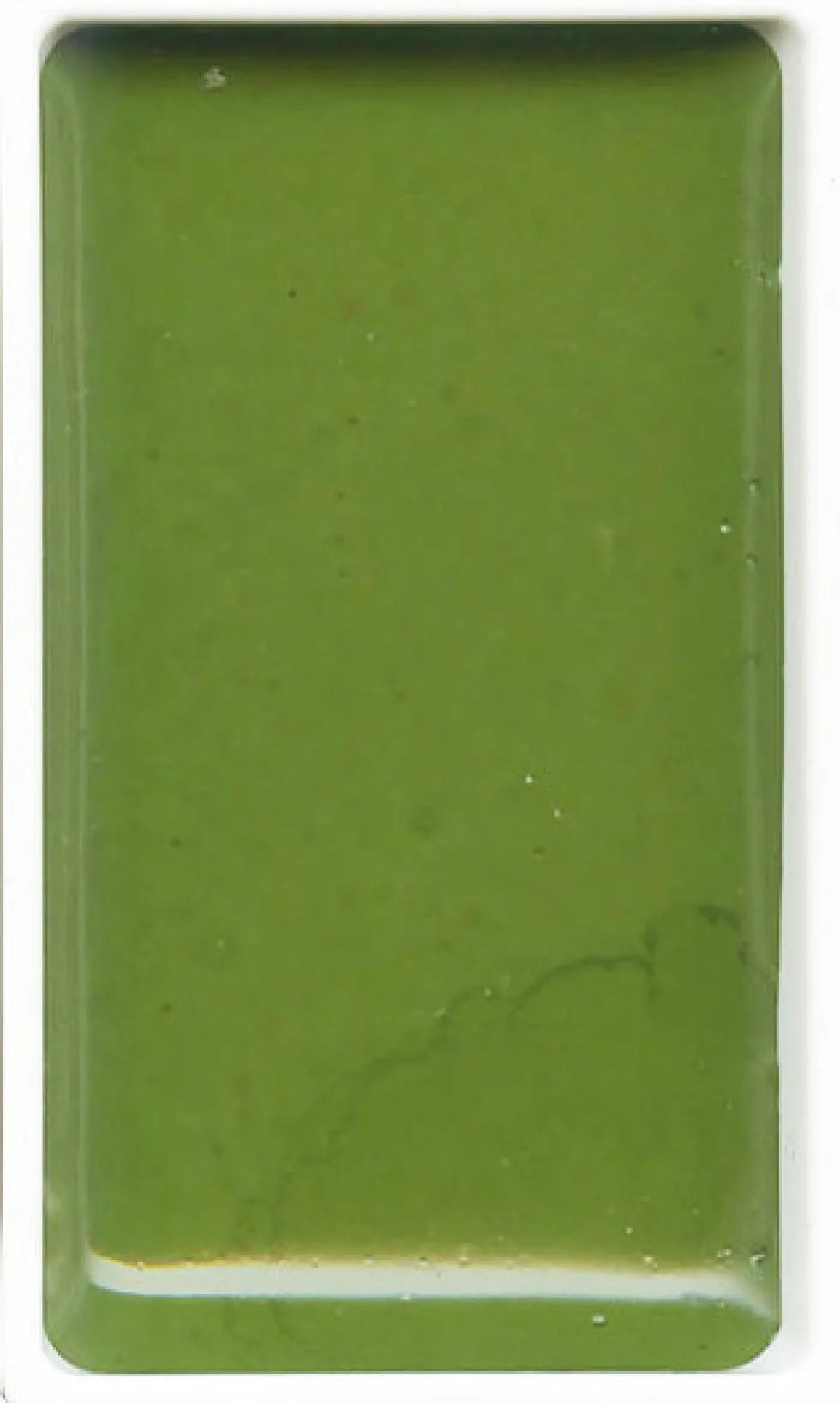 Farba akwarelowa w kostce Gansai Tambi - Kuretake - Sap Green