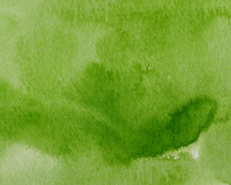 Farba akwarelowa w kostce Gansai Tambi - Kuretake - Sap Green Light