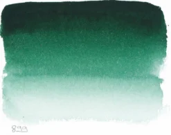 Farba akwarelowa w półkostce l’Aquarelle - Sennelier - 899 Forest Green