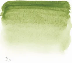 Farba akwarelowa w półkostce l’Aquarelle - Sennelier - 213 Green Earth